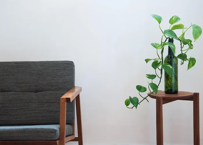 Apartamento Loft In The Fun Part Of Condesa México DF