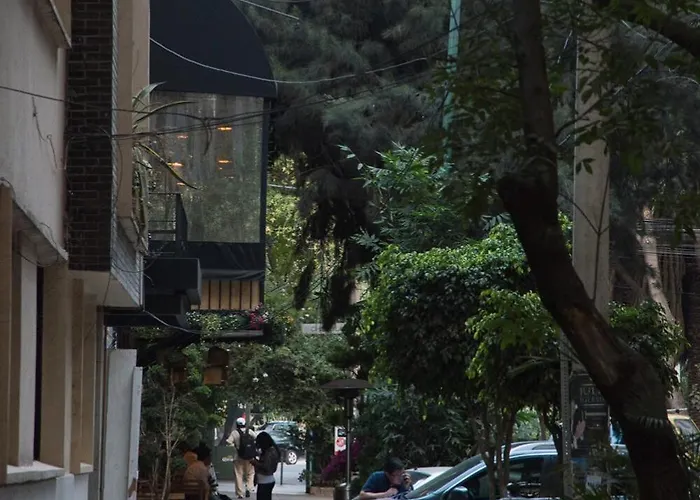 Apartamento Loft In The Fun Part Of Condesa *